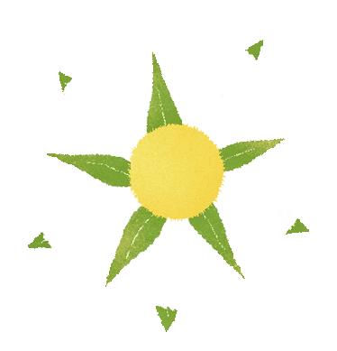 DƬ